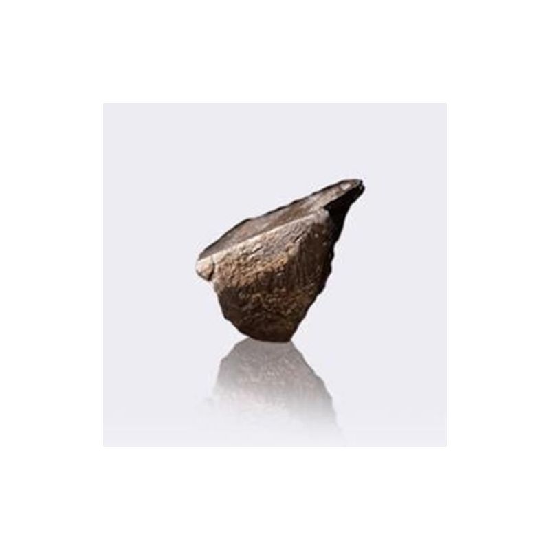 Cerium nugget günstig kaufen von Evek GmbH